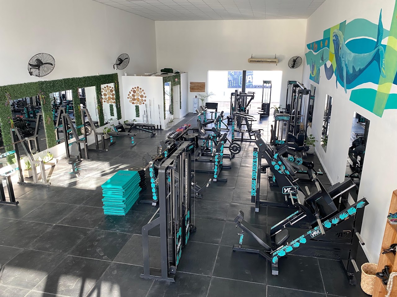 Gimnasio YAX Gym en Resistencia Chaco con máquinas modernas turquesa y mural oceánico
