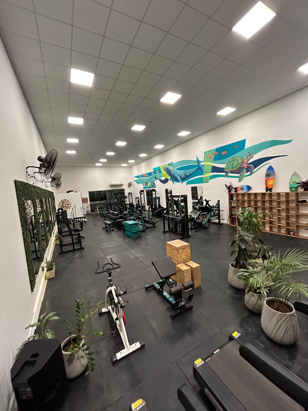 Salón principal y mural oceánico en YAX Gym